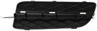 Заглушка (решетка) в бампер передний BMW X5 E70 (2006-2013) 0096991