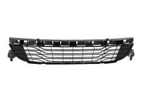 Заглушка (решетка) в бампер передний Renault Megane (2009-2016) 6043910