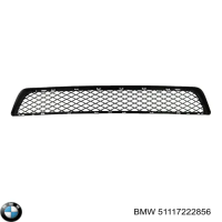 Заглушка (решетка) в бампер передний BMW X5 E70 (2006-2013) 0096980