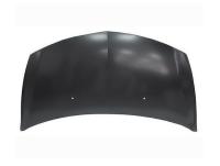 Капот Renault Clio (2005-2012) 00274030