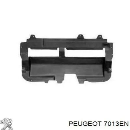 Защита двигателя Citroen C2 (2003-2009) 2316345