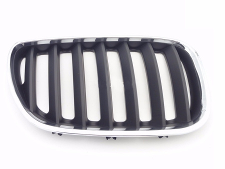 Решетка капота BMW X6 E71/E72 (2007-2014) 2051054